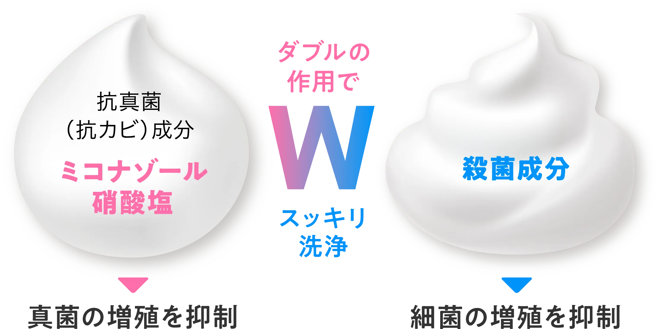 抗真菌(抗カビ)成分「ミコナゾール硝酸塩」が真菌の増殖を抑制、また、「殺菌成分」が殺菌の増殖を抑制と、ダブルの作用でスッキリ洗浄